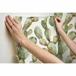 Best Sale ๐ Self-Adhesive Wallpaper RoomMates Prickly Pear Cactus Peel And Stick Wallpaper โค๏ธ 14 Best Sale ๐ Self-Adhesive Wallpaper RoomMates Prickly Pear Cactus Peel And Stick Wallpaper โค๏ธ -Wallpaper Sales Store detail2YWI1995