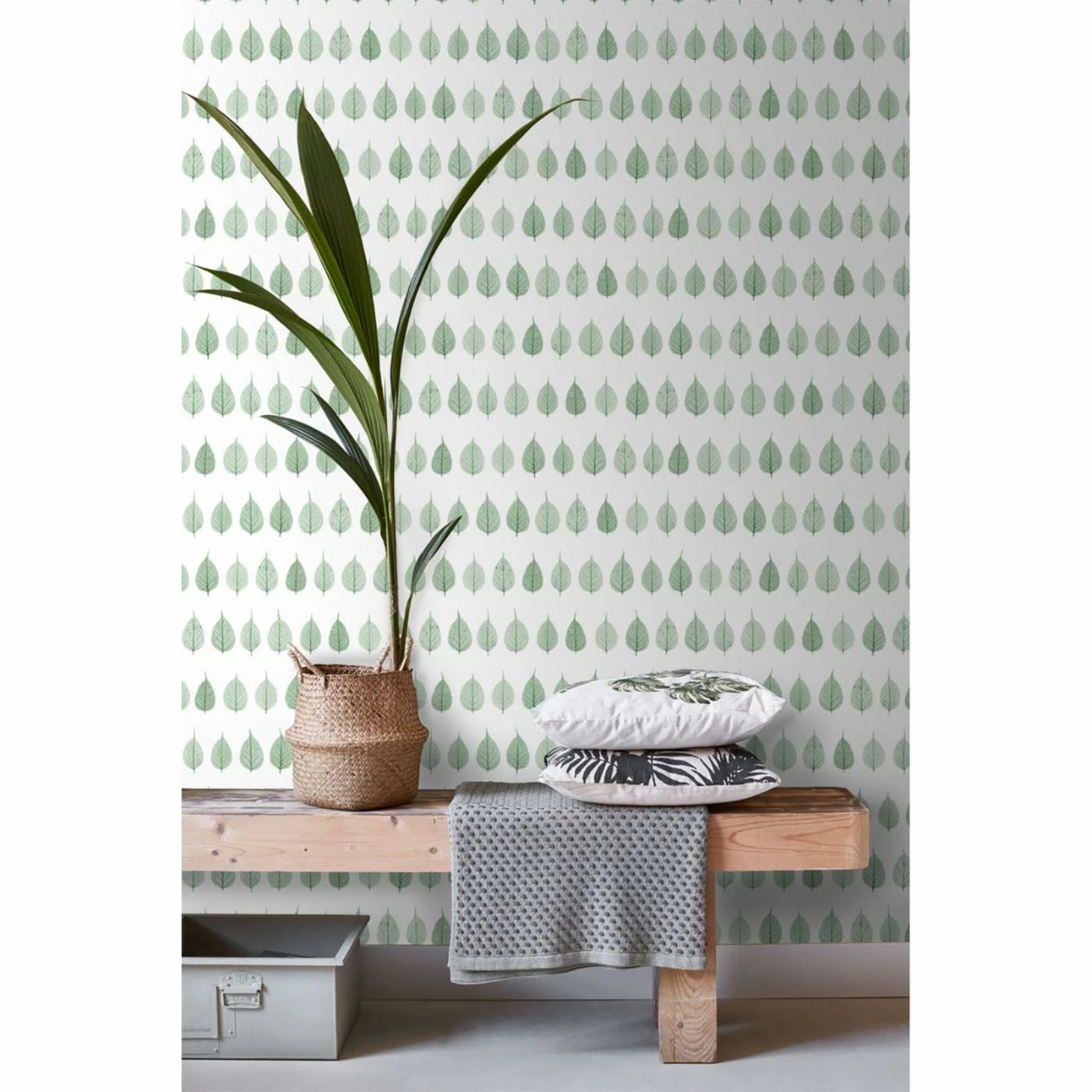 Top 10 🌟 ESTA Home Design Department Greenhouse Leaves Wallpaper 👏 9 Top 10 🌟 ESTA Home Design Department Greenhouse Leaves Wallpaper 👏 - Image 7