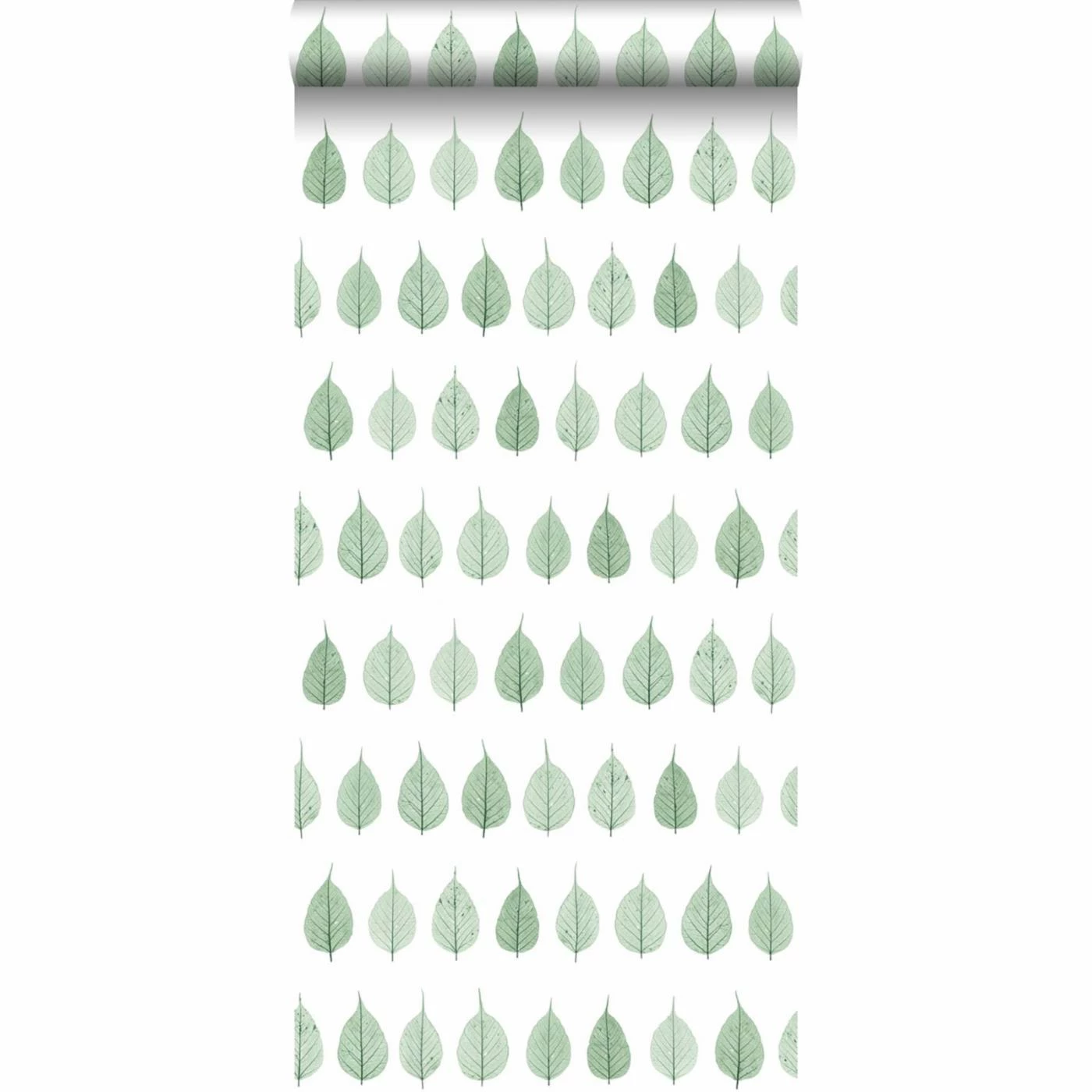 Top 10 🌟 ESTA Home Design Department Greenhouse Leaves Wallpaper 👏 10 Top 10 🌟 ESTA Home Design Department Greenhouse Leaves Wallpaper 👏 - Image 8