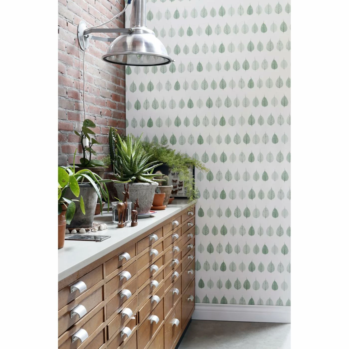 Top 10 🌟 ESTA Home Design Department Greenhouse Leaves Wallpaper 👏 4 Top 10 🌟 ESTA Home Design Department Greenhouse Leaves Wallpaper 👏 - Image 2