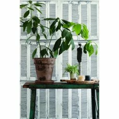 Cheapest 🎉 ESTA Home Design Department Lansbury Distressed Shutter Wallpaper ⌛ -Wallpaper Sales Store inuseBREW4909