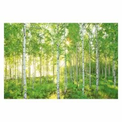 Cheapest ✔️ Wall Murals Komar Sunday 4 Panel Wall Mural ✔️
