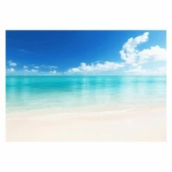 Flash Sale ⌛ Wall Murals Ideal Decor The Beach Wall Mural 💯