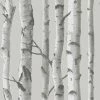 Brand new 🔔 Self-Adhesive Wallpaper NuWallpaper Mountain Birch Peel And Stick Wallpaper 🎁 1 Brand new 🔔 Self-Adhesive Wallpaper NuWallpaper Mountain Birch Peel And Stick Wallpaper 🎁 -Wallpaper Sales Store masterBREW1530