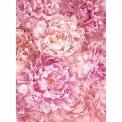 Top 10 🤩 Wall Murals Komar Soave Wall Mural 💯