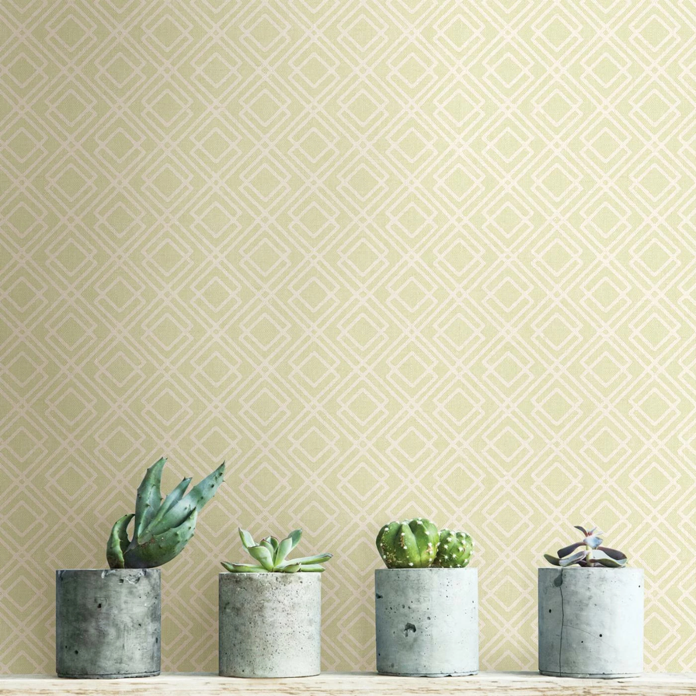 Outlet 🌟 Brewster Milly Lattice Wallpaper 🌟 3 Outlet 🌟 Brewster Milly Lattice Wallpaper 🌟