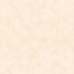 Buy 🛒 Brewster Bristle Texture Wallpaper ⭐