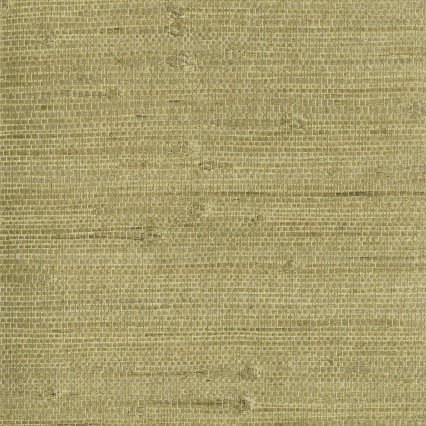 Wholesale ✔️ Kenneth James Heisoku Celery Paper Weave Wallpaper 🔥 3 Wholesale ✔️ Kenneth James Heisoku Celery Paper Weave Wallpaper 🔥