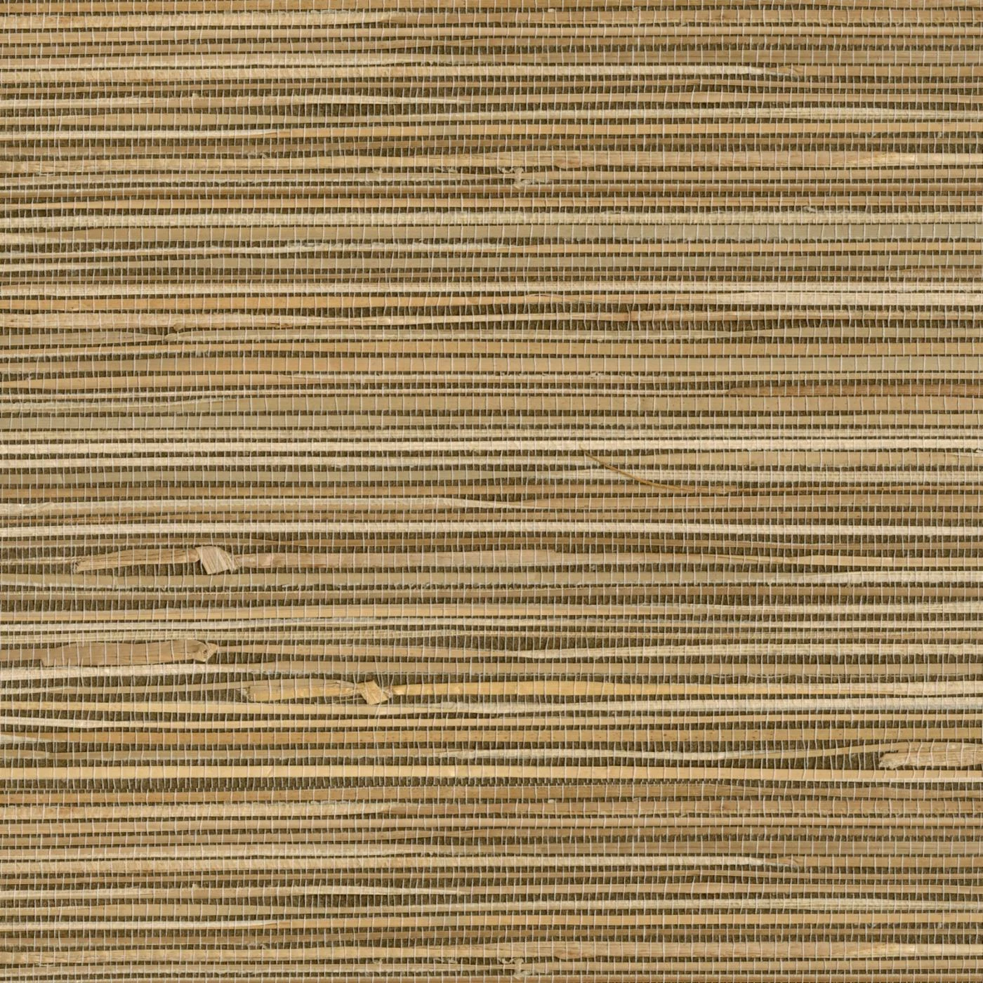 Best Pirce 🔥 Kenneth James Seiju Wheat Grasscloth Wallpaper 👏 3 Best Pirce 🔥 Kenneth James Seiju Wheat Grasscloth Wallpaper 👏
