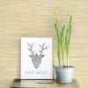 Promo 🤩 Brewster Natalie Taupe Faux Grasscloth Wallpaper 💯 1 Promo 🤩 Brewster Natalie Taupe Faux Grasscloth Wallpaper 💯 -Wallpaper Sales Store masterBREW1962