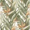 Best reviews of β Kenneth James Arcadia Banana Leaf Wallpaper β 1 Best reviews of β Kenneth James Arcadia Banana Leaf Wallpaper β -Wallpaper Sales Store masterBREW2076