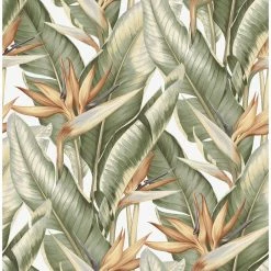 Best reviews of ⭐ Kenneth James Arcadia Banana Leaf Wallpaper ⭐