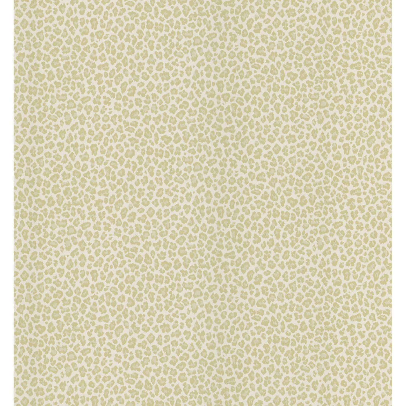 Wholesale ๐ Brewster Cheetah Animal Print Wallpaper ๐ฅฐ 3 Wholesale ๐ Brewster Cheetah Animal Print Wallpaper ๐ฅฐ