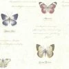 Best deal 😍 Brewster Admiral Butterflies And Script Wallpaper 🌟 -Wallpaper Sales Store masterBREW4079
