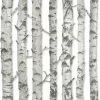 Promo π ESTA Home Design Department Merman Birch Tree Wallpaper π 2 Promo π ESTA Home Design Department Merman Birch Tree Wallpaper π -Wallpaper Sales Store masterBREW4912