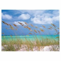 Brand new 😉 Wall Murals Brewster Ocean Breeze Wall Mural 🥰