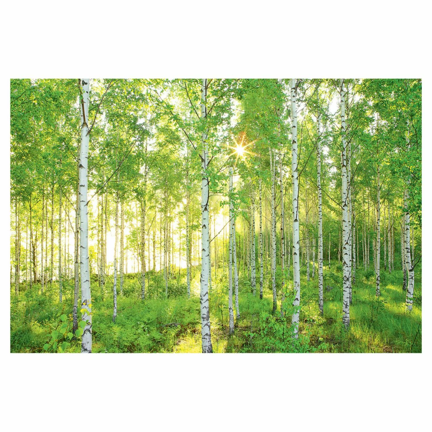 Top 10 π€© Wall Murals Brewster Sunday Wall Mural π― 3 Top 10 π€© Wall Murals Brewster Sunday Wall Mural π―