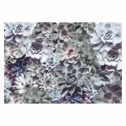 Outlet ⭐ Wall Murals Komar Shades Wall Mural ⭐