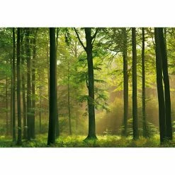 Outlet ✨ Wizard & Genius Wall Murals Wizard & Genius Autumn Forest Wall Mural ✨