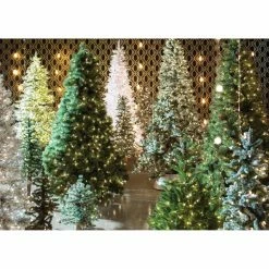 Budget ๐ Manhattan Comfort Accentuations Cardiff Geometric Wallpaper โ